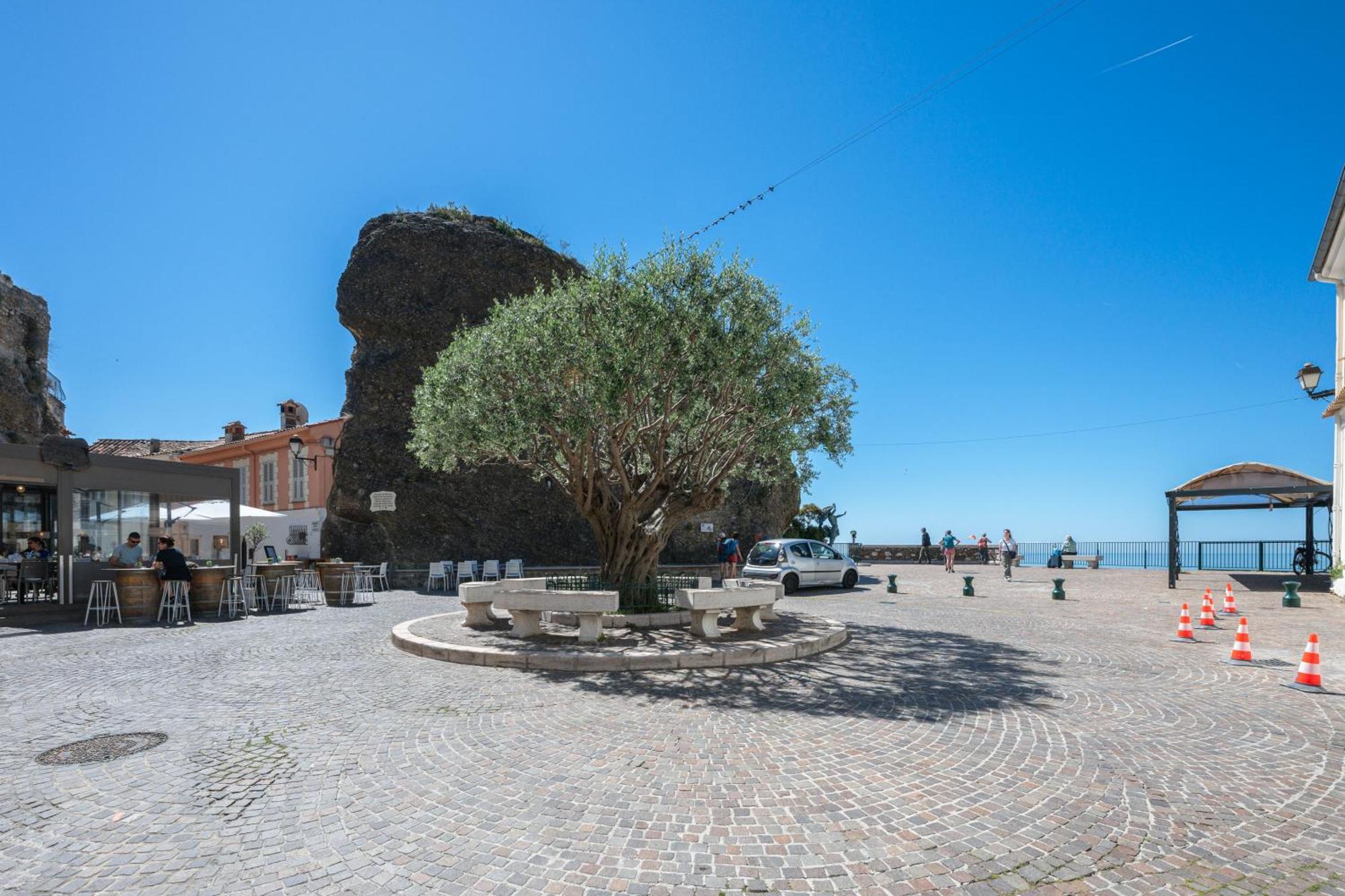 Le Coq Grimaldi - Wifi - Air Conditioning - Quiet Roquebrune-Cap-Martin Exterior photo